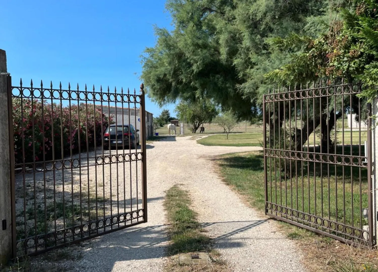 Appartamento  La Parenthèse   gîte en Camargue Arles